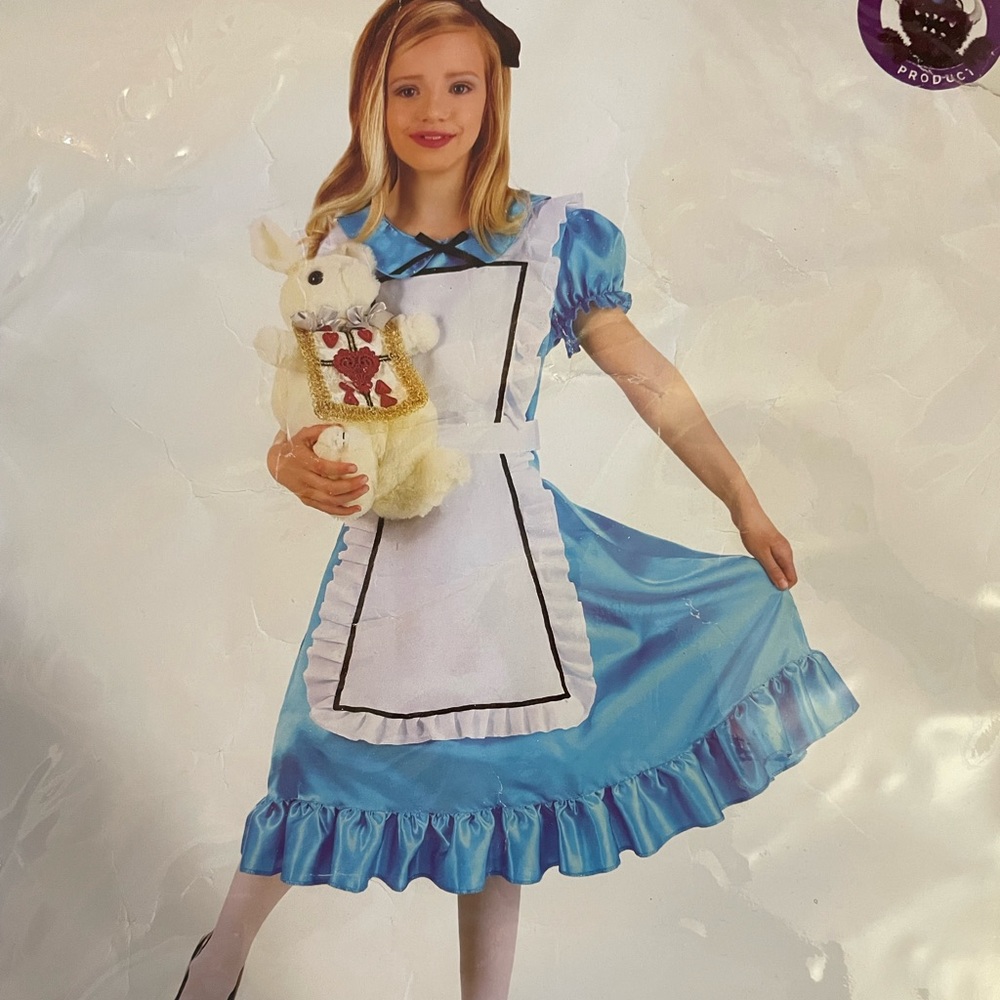 Girls XL Alice Costume